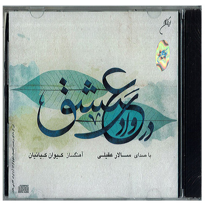 آلبوم موسیقی در وادی عشق اثر سالار عقیلی نشر ایران گام